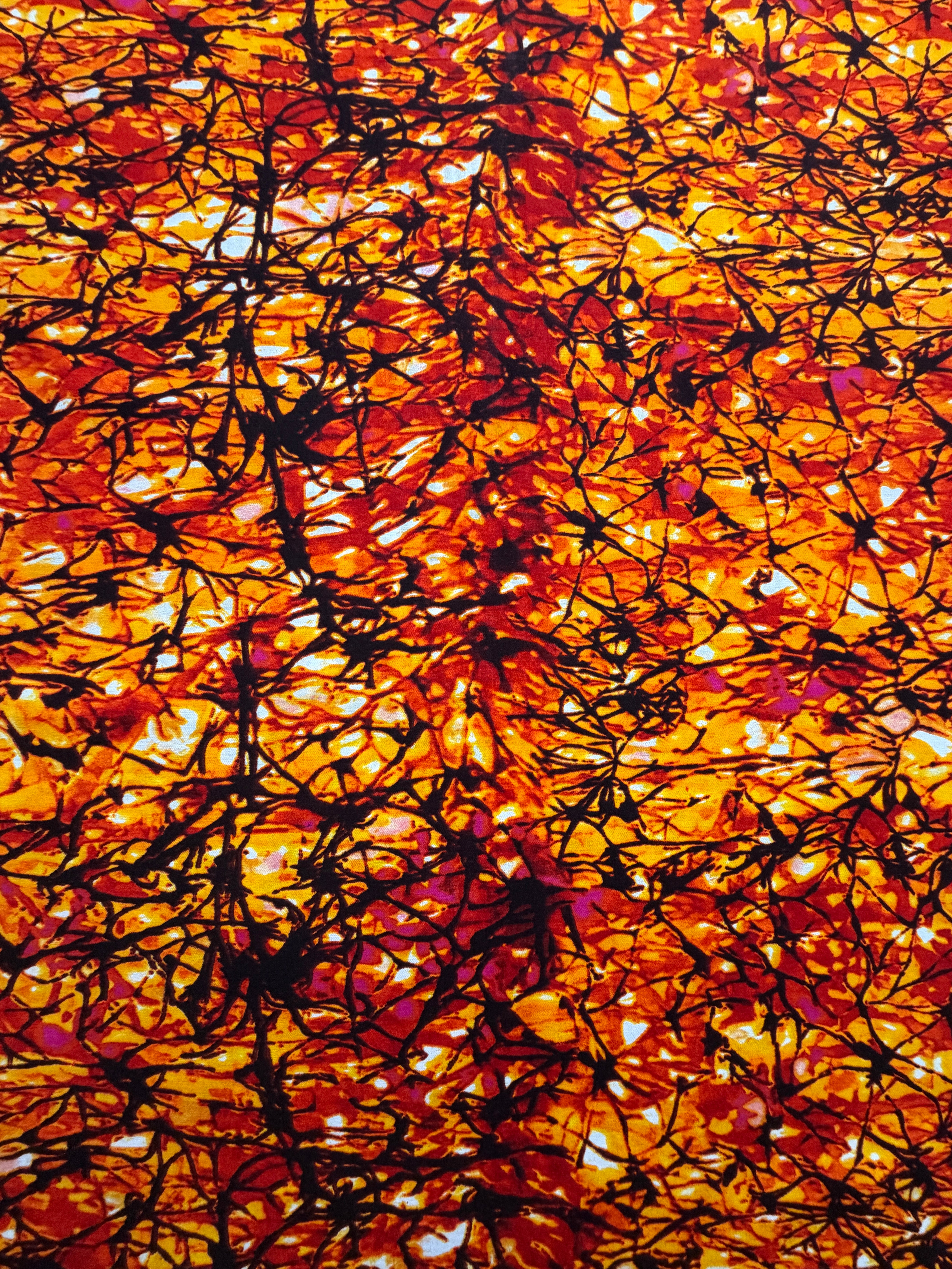 Ankara Fabric - 501957