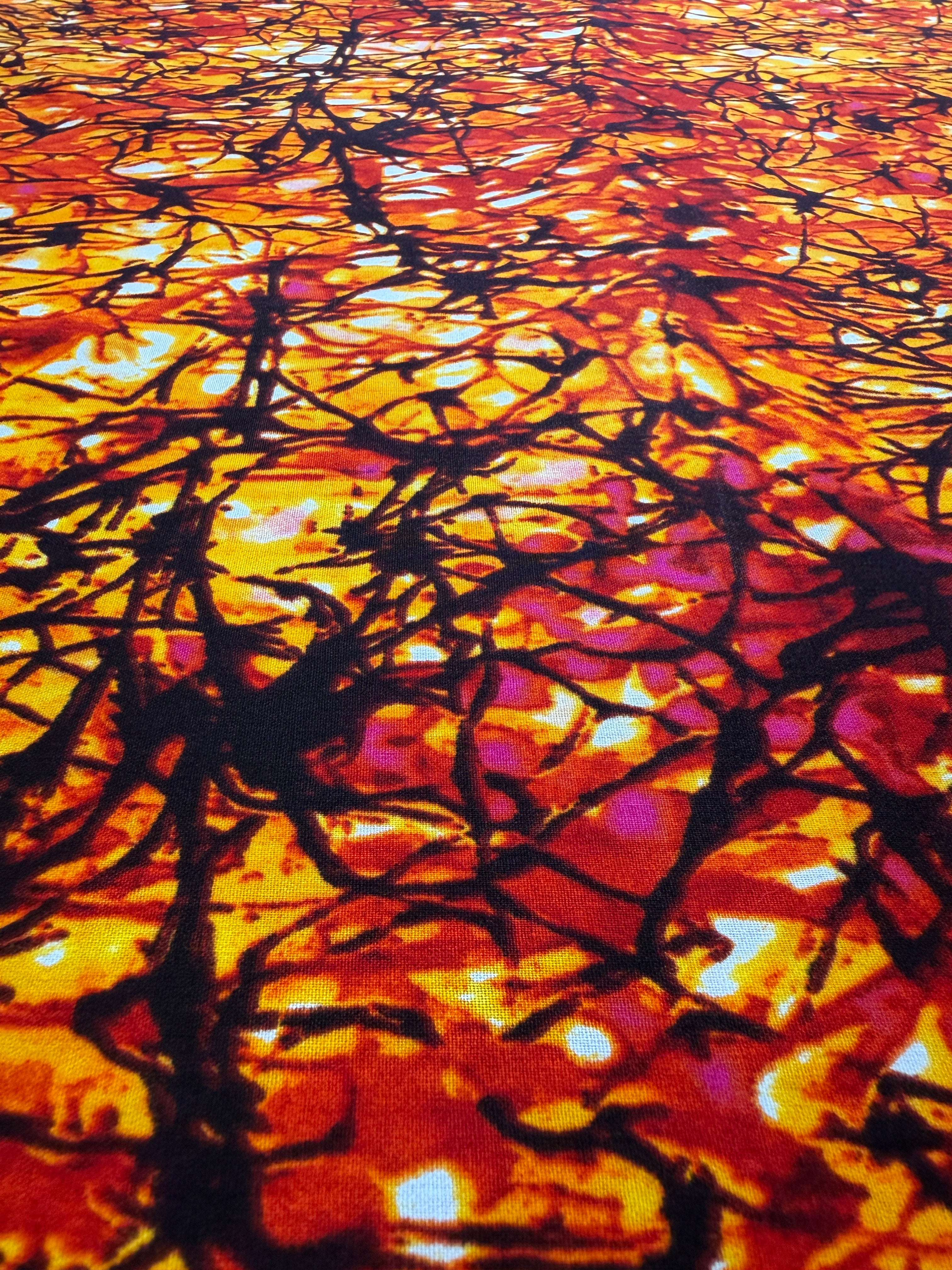 Ankara Fabric - 501957