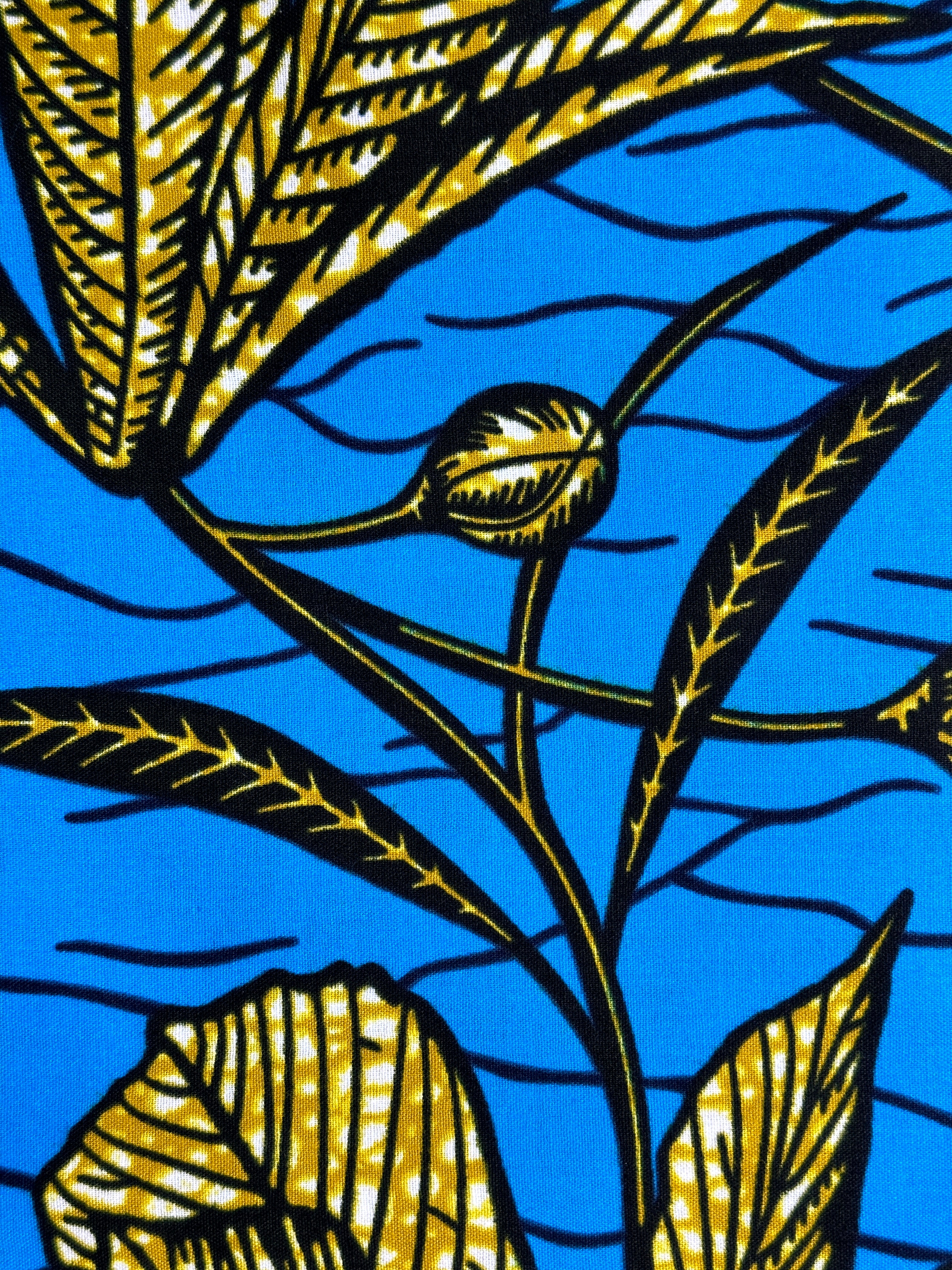 Ankara Fabric - 3156523